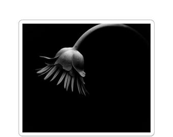 Vinyl Kiss-Cut Stickers: Glossy Finish, White or Transparent Options