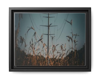 Rural Power Lines over Cornfield Matte Canvas Framed Wall Art Fine Art