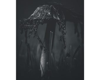 Dark Moody Mushroom Wall Art Fine Art