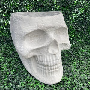 May include: A gray, skull-shaped planter made of concrete. The planter has a textured surface and a wide opening at the top. The skull's features, including eye sockets, nose cavity, and teeth, are clearly defined. The planter is suitable for indoor or outdoor use.