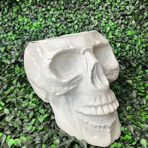 以下が含まれることがあります： グレーのコンクリート製の頭蓋骨型のプランター。プランターは、眼窩、鼻腔、歯など、人間の頭蓋骨の詳細なデザインになっています。プランターは緑の葉の背景に置かれています。