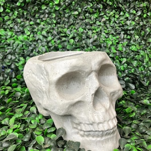 Concrete Skull Pot Planter, Plants, “Skully” Handmade DECOR, HALLOWEEN, indoor,  outdoor, ART, Medium Size
