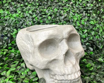 Jardinière en pot tête de mort en béton, plantes, décoration « Skully » faite main, HALLOWEEN, intérieur, extérieur, ART, taille moyenne