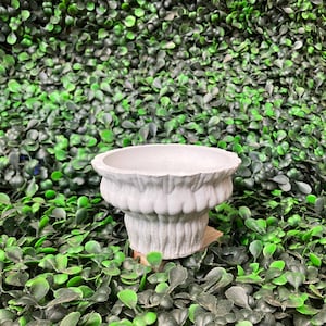 Handmade Concrete "Cheeks" Pot: Small Planter Dish