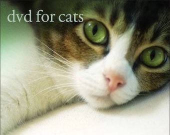 Dvd For Cats Etsy
