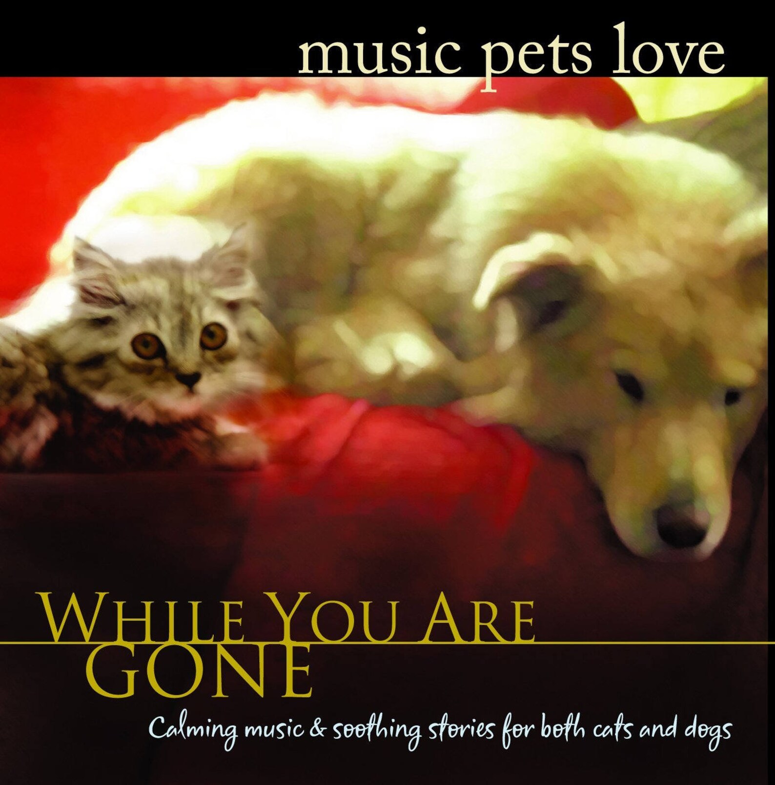 Music pets. Pet песня. Pets offer Unconditional Love. Rock musicians with Pets.