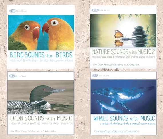 その他 4 Earth: Natural Sounds of Oce [CD] Rest & Relax Nature Artist Series - NATURE SOUNDS 8 CD Set