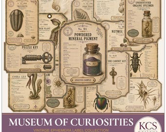 Ephemera: Museum of Curiosities | Vintage Specimen Labels | Botanical, Beetles, Fossils, Shells, Keys & Apothecary Bottles