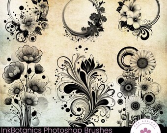 InkBotanics Photoshop Brushes: Floral Swirls, Botanical Stamps (Digital Download)