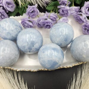 May include: Five polished light blue calcite spheres with natural crystalline patterns and smooth surfaces. These round mineral stones are arranged together on a white scalloped tray, surrounded by decorative purple fabric roses.