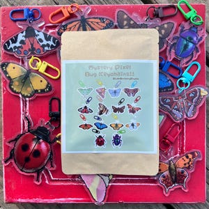 Può includere: Una collezione di portachiavi in acrilico a forma di insetti e farfalle con chiusure colorate attorno a un sacchetto di carta marrone. L'etichetta riporta il testo Mystery Pixel Bug Keychains!! e RiverArtistryStudio sopra una griglia di icone.