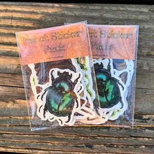 May include: Two clear plastic packs of insect stickers. Each pack has a light orange header with the text "Insect Sticker Pack". The stickers feature various colorful insect illustrations, including a green beetle.