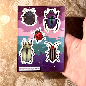 May include: A sticker sheet featuring pixelated illustrations of various beetles. The designs include a black beetle with red spots, a metallic purple beetle, a red ladybug, a green beetle, and a red and black striped beetle. The text "RiverArtistryStudio" is at the bottom.