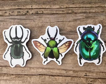 Beetle Stickers