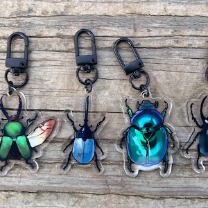 Beetle Acrylic Keychain!