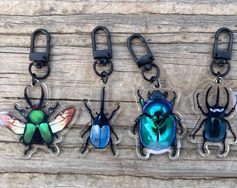Beetle Acrylic Keychain!
