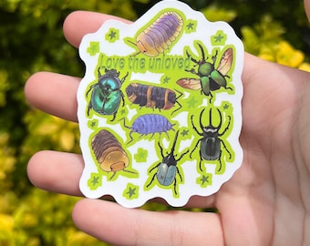 Peut inclure: Un autocollant avec des illustrations d'insectes colorés, dont des coléoptères et des cloportes, avec le texte "Love the unloved" dans un design vert et blanc. L'autocollant est tenu dans une main sur un fond vert flou.