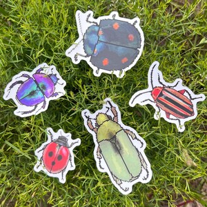 May include: A collection of five insect stickers with pixelated designs. The stickers feature various beetles, including a ladybug, a green beetle, and beetles with iridescent and striped patterns. The stickers are on a bed of green grass.