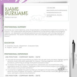 Plantilla de currículum moderno para veterinario (Canva), personalizable, minimalista, sencillo, carta de presentación y carta de recomendación.