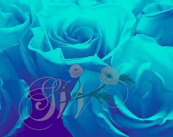 Blue Rose Dream© INSTANT PHOTO DOWNLOAD 3 jpg files