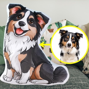 Turn your pet photo into a cartoon pillow | Custom cartoon Pet pillow | Personalized dog photo pillow | 3D photo pillow | Pet cartoon pillow