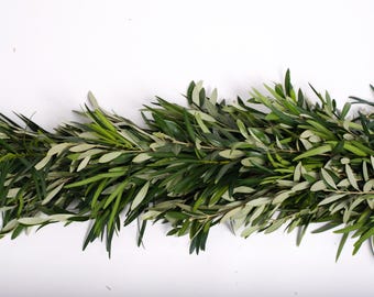 Fresh Olive Leaf and Podocarpus Garland - Custom Real Garland