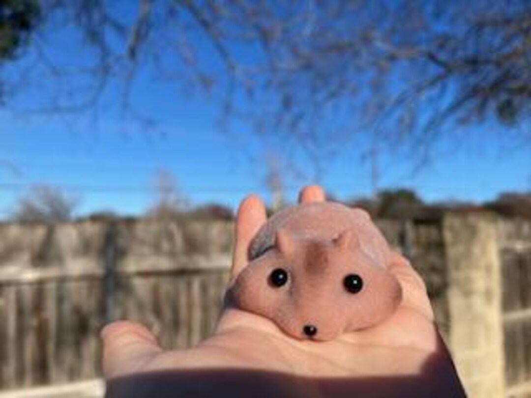 Hamster Taba Squishy, Super Soft Silicone, Squishy Hamster, Cute ...