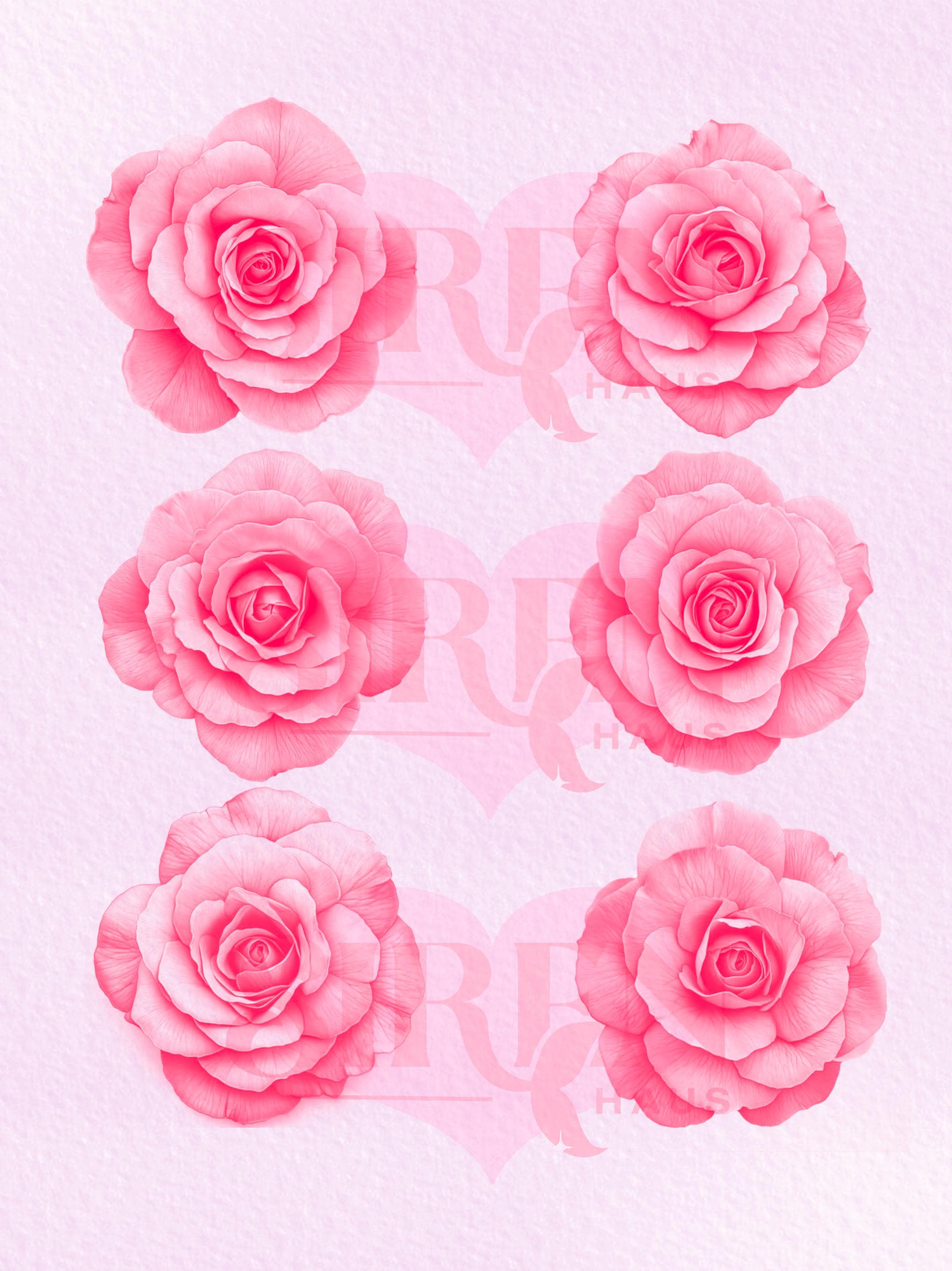 Procreate Brush Set | 50 Realistic Rose Stamps | SIRENHAUS - Etsy