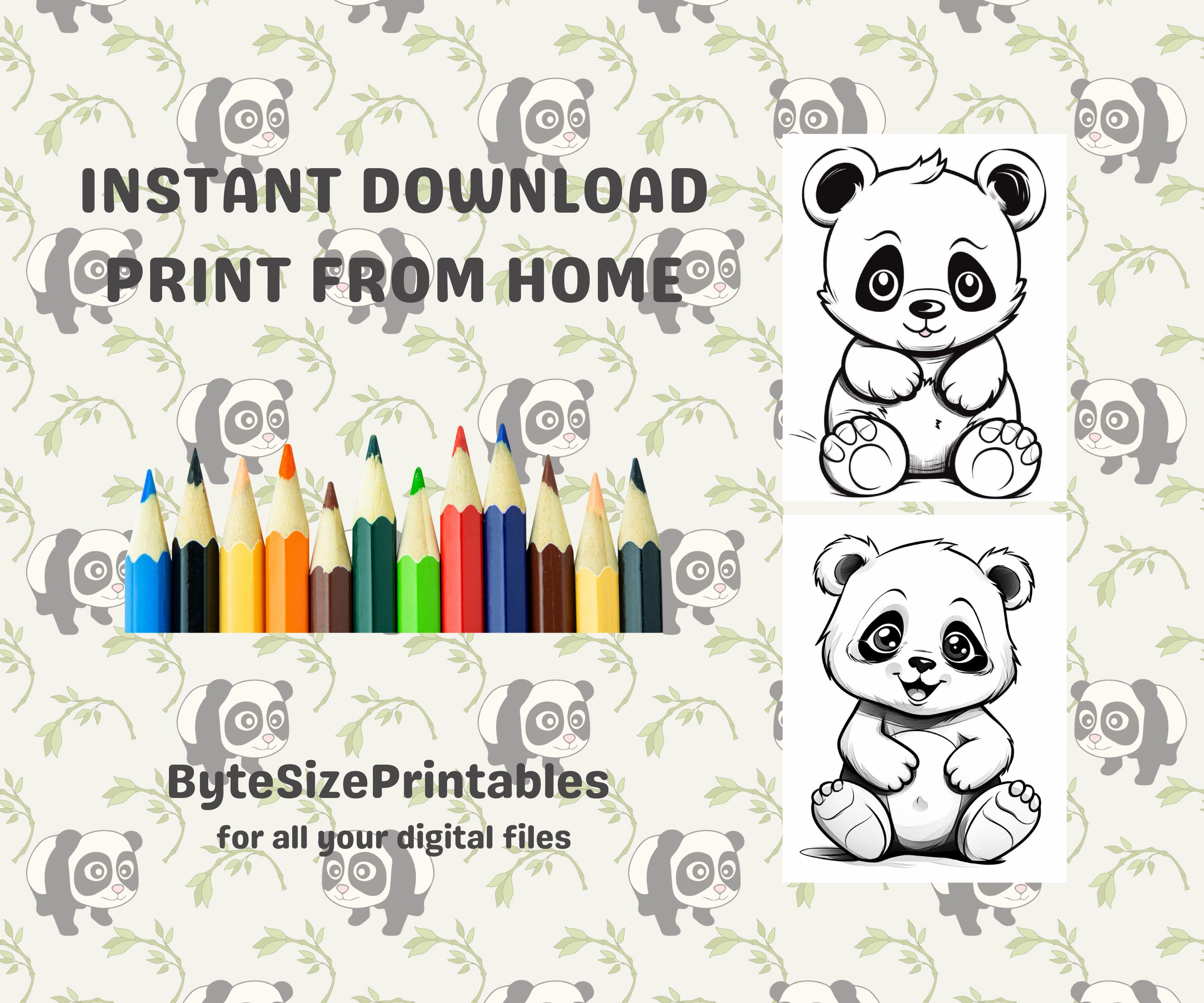 Panda Coloring Pages Printable – Easy Animal Designs (PDF Download) - Etsy