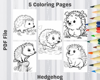 Hedgehog Coloring Pages Printable – Woodland Animal Designs (PDF)