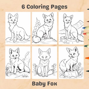 Baby Fox Coloring Pages: Bold & Easy Designs (PDF Download)