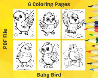 Printable Baby Bird Coloring Pages – Spring Animal Designs (PDF)