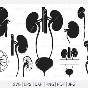 Svg rein, monogramme rein, clipart rein, Silhouette rein, rein split monogramme, rein svg Bundle