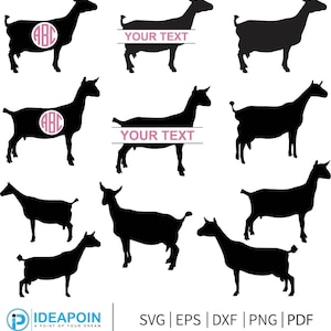 Chèvre naine nigériane SVG, chèvre de spectacle png, svg de chèvre laitière, lot de SVG de chèvre naine nigériane, monogramme nain nigérian, svg de bétail, chèvre SVG