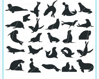 Seal Silhouette Vector Bundle (Digital Download)