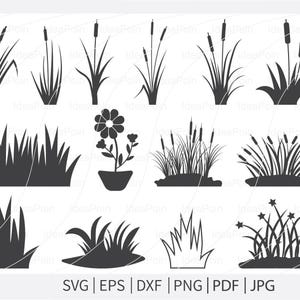 Rohrkolben SVG, Rohrkolben SVG, Rohrkolben SVG, Rohrkolben Clipart, Rohrkolben Clipart, ClipArt Dateien für Cricut, Blumen SVG