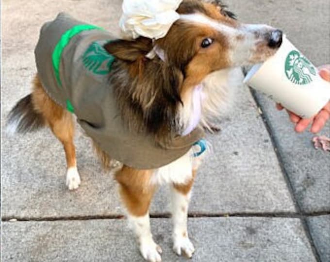 Dog Costume Tutu Halloween Costume Mocha Coffee Starbucks Etsy