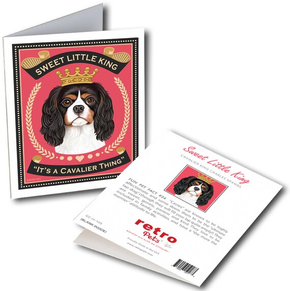 cavalier king charles spaniel royal decree