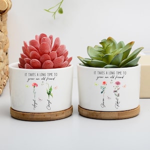 Könnte beinhalten: Zwei weiße Keramik-Pflanztöpfe mit Bambus-Untersetzern, jeweils mit einer Sukkulente. Einer hat eine rote Sukkulente, der andere eine grüne. Auf den Töpfen steht "IT TAKES A LONG TIME TO grow an old friend".