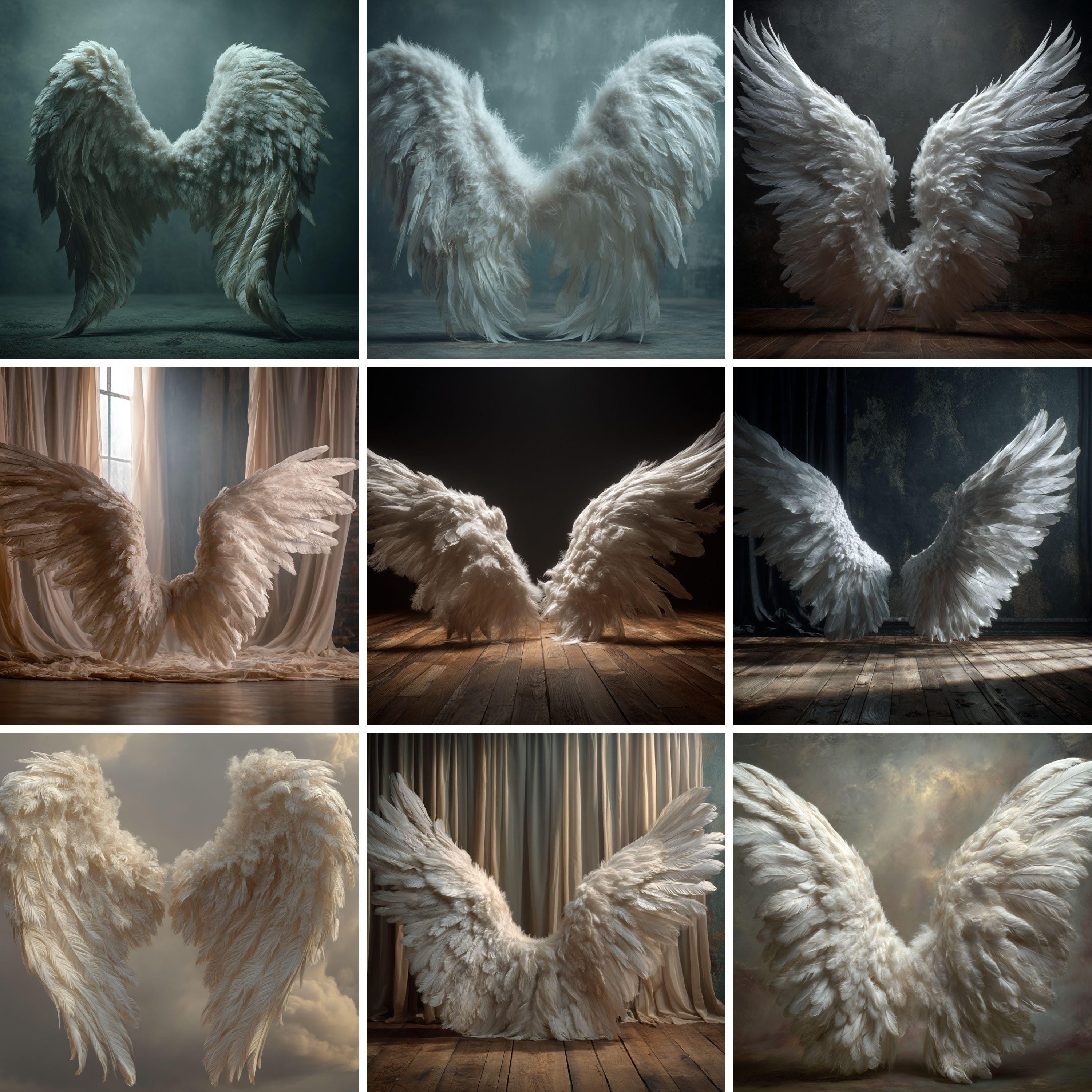 Angel Wings Digital Backdrops: Maternity Photography Overlays (JPG ...