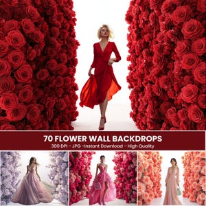 Puede incluir: Una mujer con un vestido rojo camina entre dos paredes de rosas rojas. La imagen incluye el texto "70 FLOWER WALL BACKDROPS" y detalles sobre la calidad y el formato de la imagen.