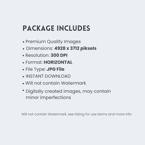 Op de afbeelding: Witte achtergrond met de tekst "PACKAGE INCLUDES" in een vet, donker lettertype. Opsommingstekens tonen functies zoals afbeeldingen van topkwaliteit, afmetingen van 4928 x 3712 pixels, 300 DPI resolutie en een horizontaal formaat.
