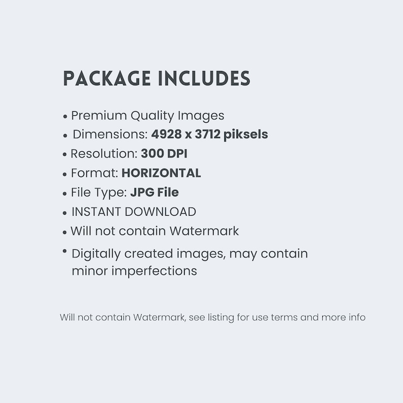 Op de afbeelding: Witte achtergrond met de tekst "PACKAGE INCLUDES" in een vet, donker lettertype. Opsommingstekens tonen functies zoals afbeeldingen van topkwaliteit, afmetingen van 4928 x 3712 pixels, 300 DPI resolutie en een horizontaal formaat.