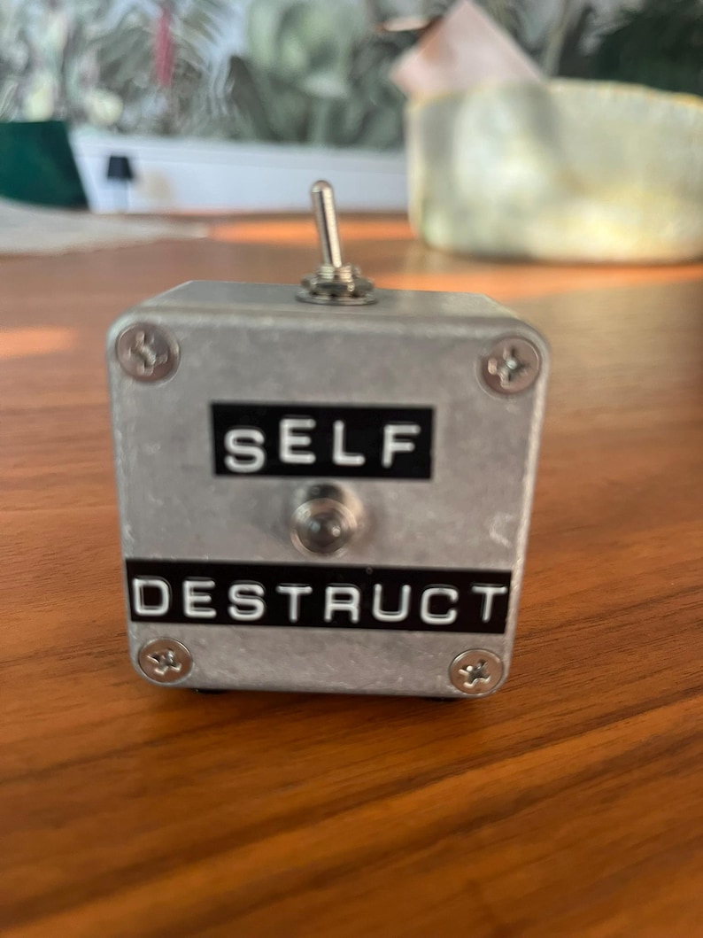 Self Destruct! manifest switch, decision switch, intention indicator, gadget, fidget image 5