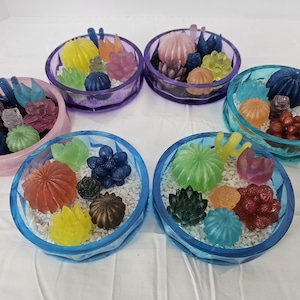 May include: Six small, colorful, resin succulent planters in various colors, including pink, purple, blue, and turquoise. Each planter contains a variety of small, colorful, resin succulents.