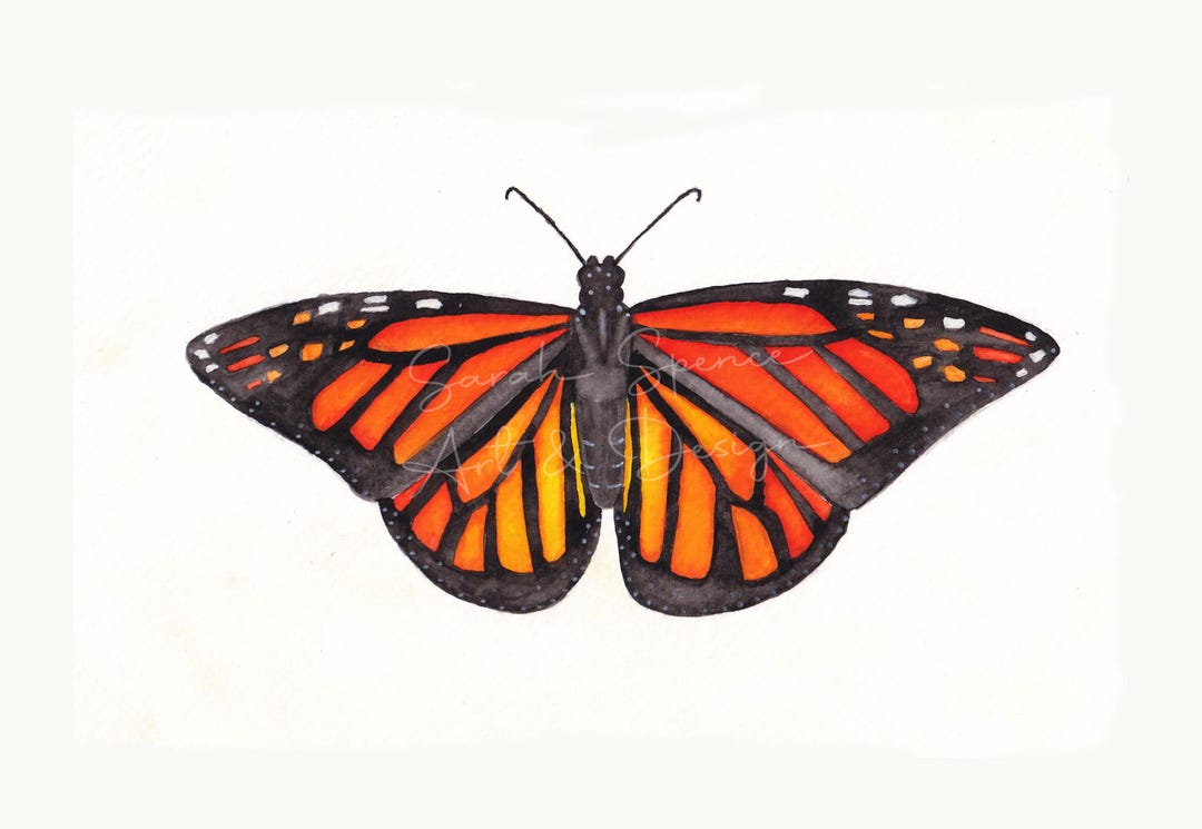 Monarch Butterfly Watercolor Painting / Original Monarch Art / Monarch ...