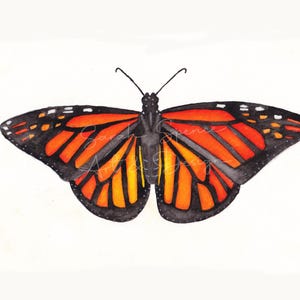 Monarch Butterfly Watercolor Painting / Original Monarch Art / Monarch Butterfly Watercolor Art Print / Butterfly Watercolor Art