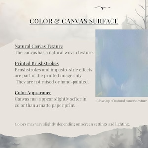 The image is a collage of multiple images, and the text describes the color and canvas surface of the images.