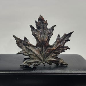 Vintage Pressed Brass Leaf Belt‎ Buckle Bergamot Brass Works Leaf Belt Buckle - Etsy main image 4