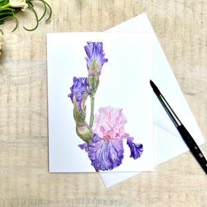 May include: A watercolor painting of a purple and pink iris flower with green stems and leaves. The flower is in bloom and has a delicate, feminine appearance.